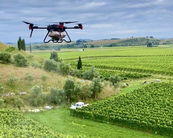 XAG Drones in Vineyards Make Wine Growing Safer and Easier