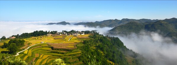 Rural life through prism of modernization