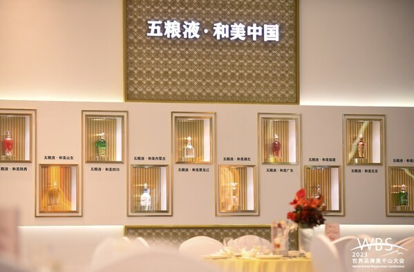 Xinhua Silk Road: China now in best period to build itself into a brand powerhouse, Wuliangye board chairman