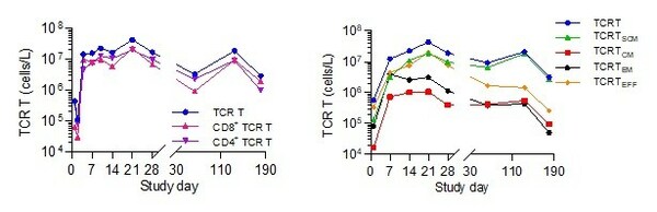 ISCT 2023: Late-breaking SCG101 Data Show 100% HBsAg+ Hepatocyte Eradication and 74