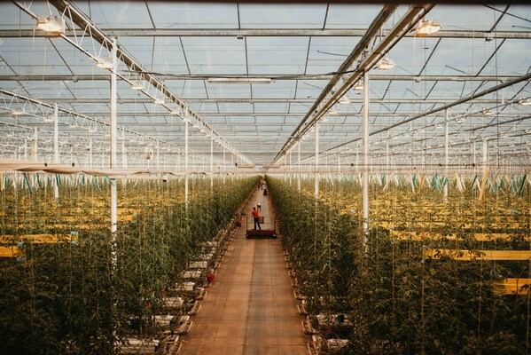 SK networks Invests $2M in AI Farming Startup 'Source