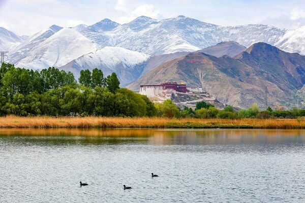 Forum highlights resounding success of Tibet's development