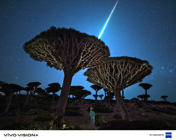 vivo Unveils Future Imaging Trends and Announces Winners of VISION+ Mobile PhotoAwards 2024