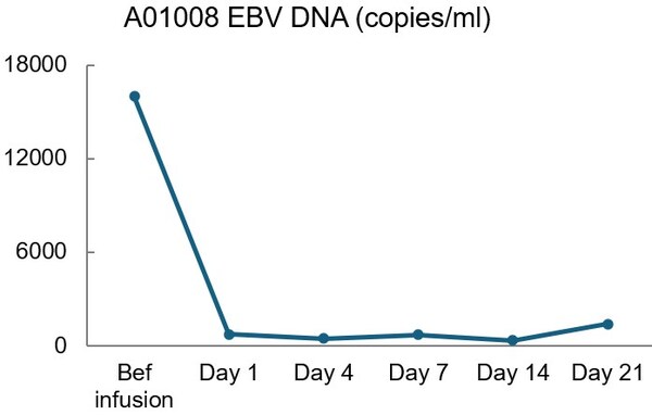 Biosyngen's first-in-class CAR-T asset targeting solid tumors has entered pivotal phase II trial, Phase I trial data debut at ESMO 2024 Annual Congress