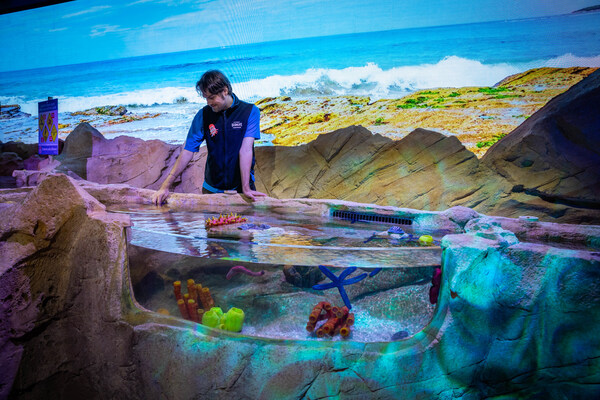 Dive Into SEA LIFE Sydney Aquarium