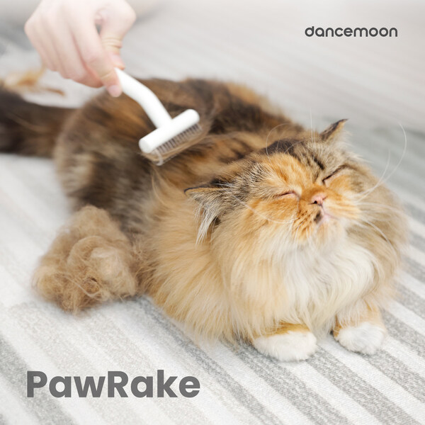 dancemoon Launches Its First PawRake Designed for Direct Use on Medium-Long Haired Pets
