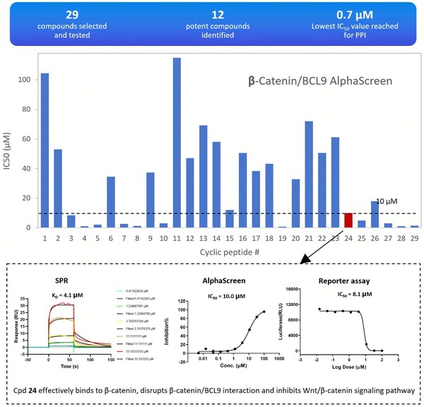 RiDYMO® Designs Cyclic Peptide for