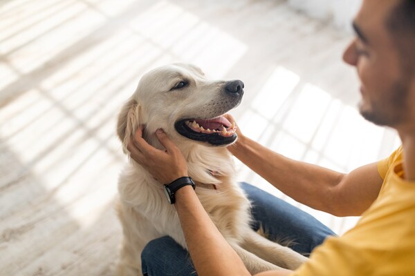 Mars launches landmark global study program on pets' contribution to human wellbeing