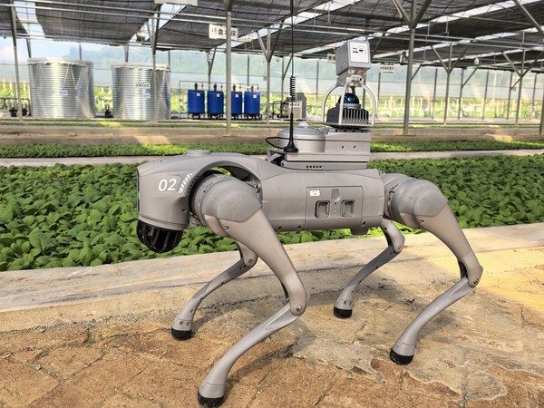 From Streets to Fields: Unitree's Go2 Steps into Smart Farming