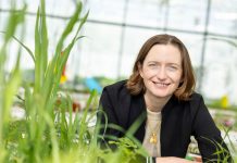 Moa Technology raises Series C round co-led by Oxford Science Enterprises and Supernova Invest