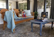 The costly winter pet mistakes Australians are making
