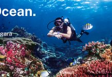 Wellness, Culture and Island Adventures: Experiencing Indonesia Through a Different Lens